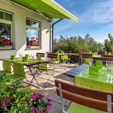 ホテル Apfelbluete 8 Km Vom Bodensee 3*