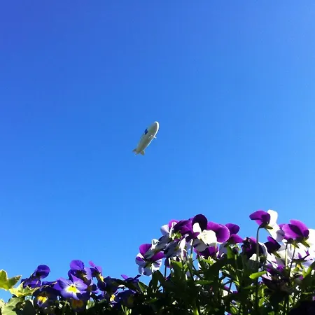 Apfelbluete 8 Km Vom Bodensee ホテル ザーレム