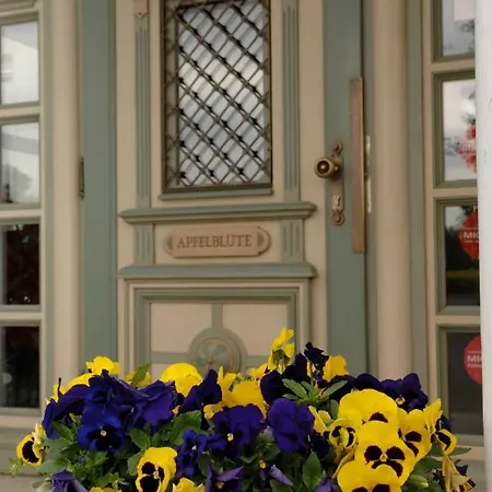 Apfelbluete 8 Km Vom Bodensee ホテル ザーレム