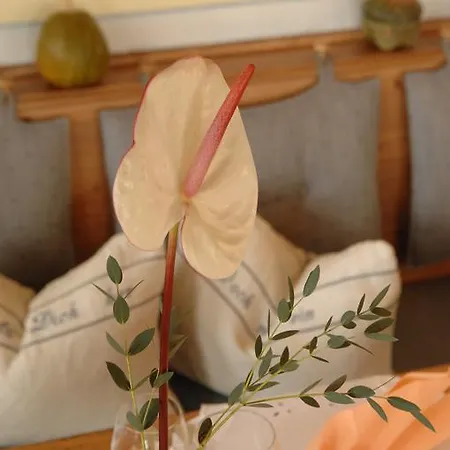 ホテル Apfelbluete 8 Km Vom Bodensee ザーレム