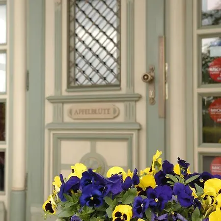 ホテル Apfelbluete 8 Km Vom Bodensee 3*