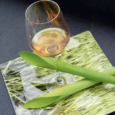 Apfelbluete 8 Km Vom Bodensee 3* ザーレム