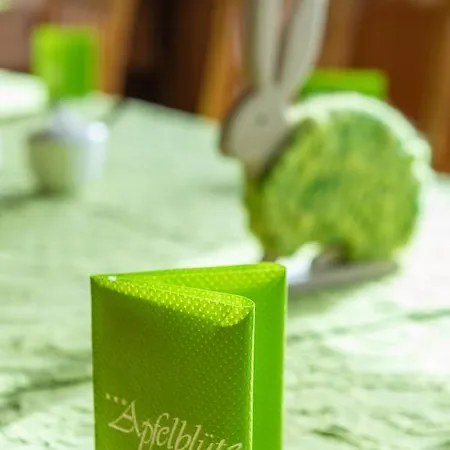 Apfelbluete 8 Km Vom Bodensee ホテル 3*