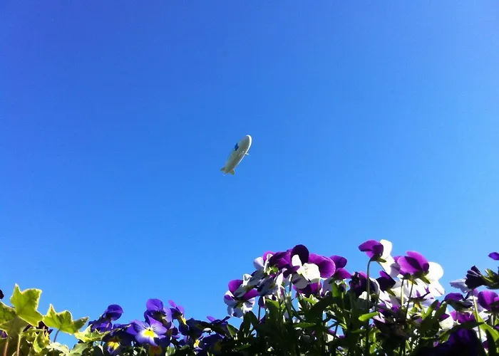 Landgasthof Apfelblüte Hotel Salem (Baden-Wurttemberg)