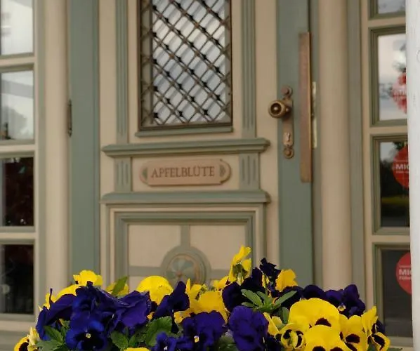 Landgasthof Apfelblüte Hotel Salem (Baden-Wurttemberg)