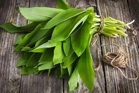 Hotel Landgasthof Apfelblüte Salem (Baden-Wurttemberg)