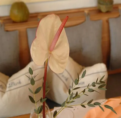 Отель Apfelbluete 8 Km Vom Bodensee Залем